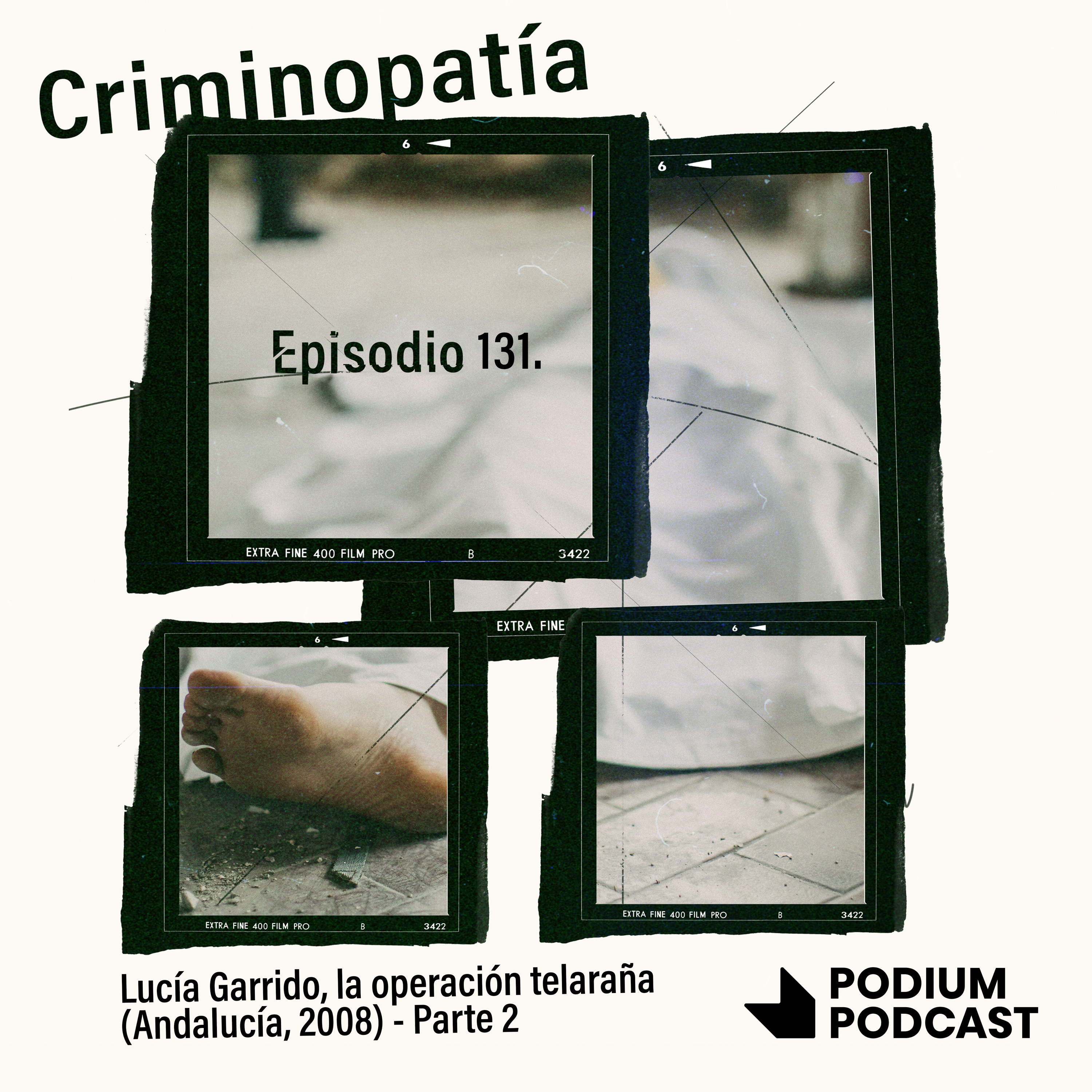 Imagen de 131. Lucía Garrido, la operación telaraña (Andalucía, 2008) - Parte 2
