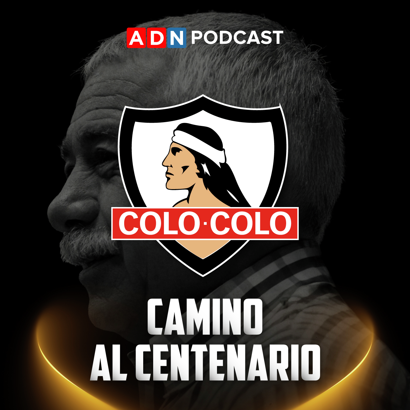 Imagen de Camino al centenario